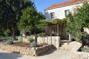 Holiday house with a parking space Orebic, Peljesac - 17861